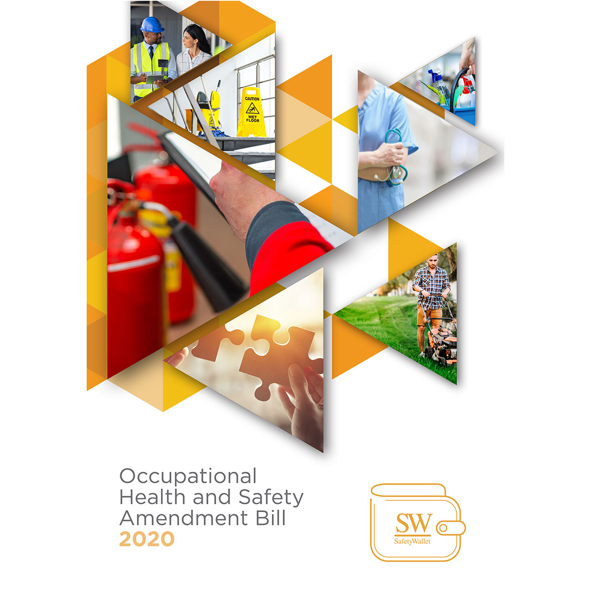 MSS Free Download - OHS Act Amendment Bill E-Book